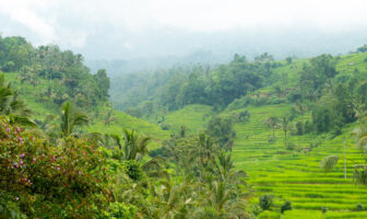 Kerala