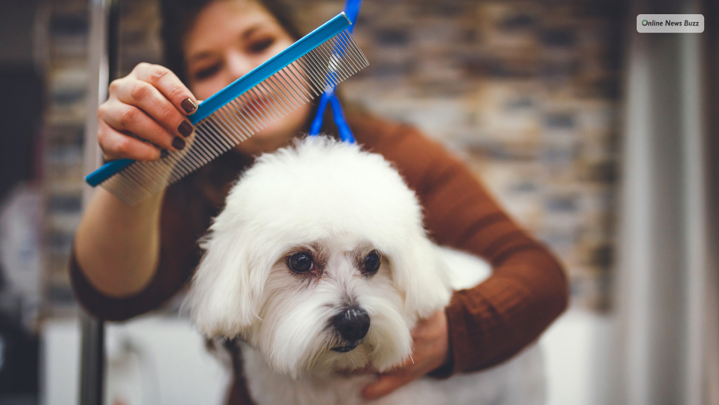 Brushing & Combing