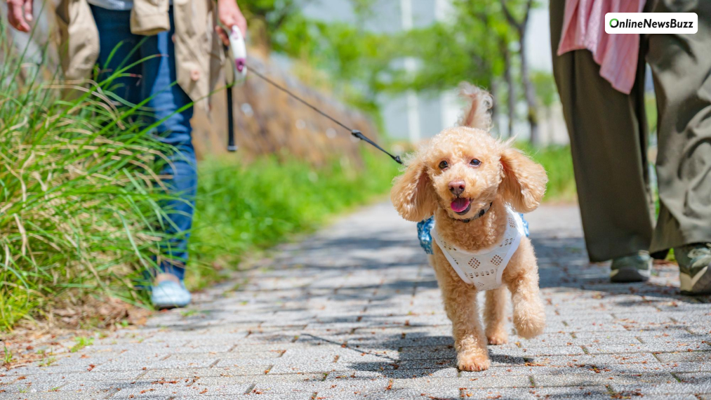 Do these exercises daily