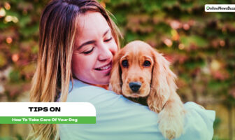 How to take care of your dog