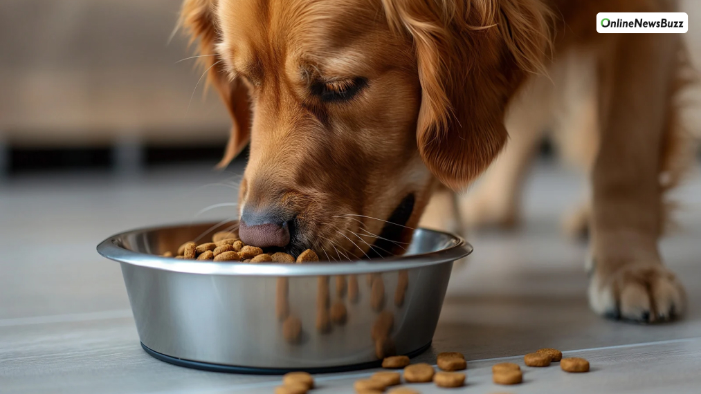 Feed a Balanced, High-Quality Diet