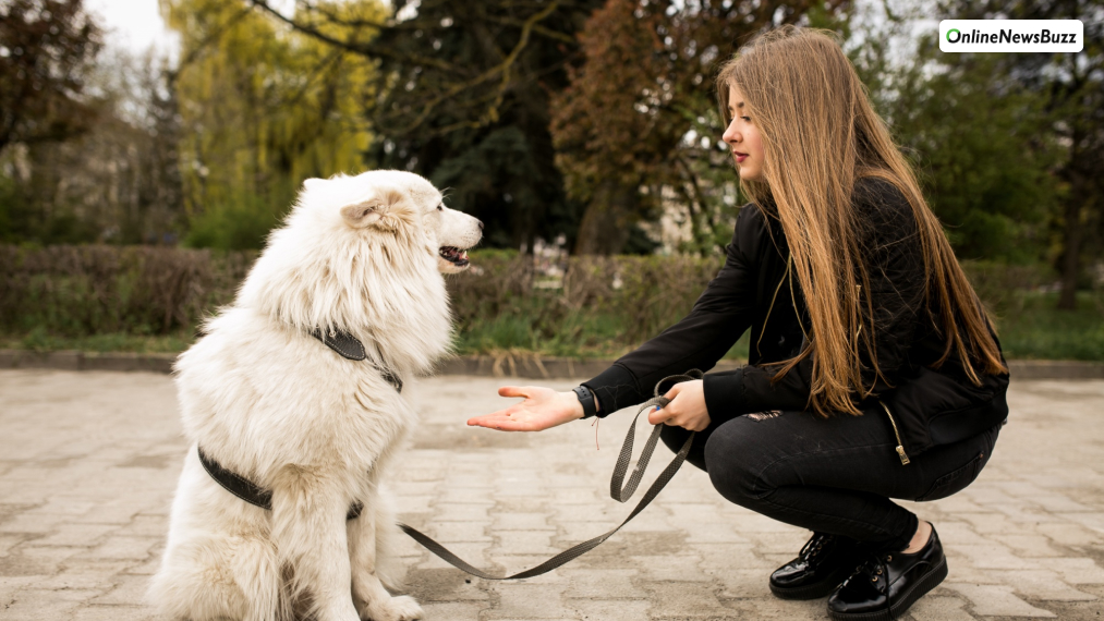 Mental Stimulation and Enrichment