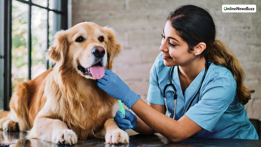 Regular Visits to the Vet