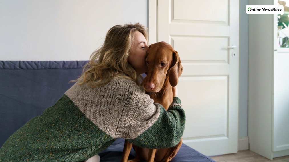 Shower them with love and attention.