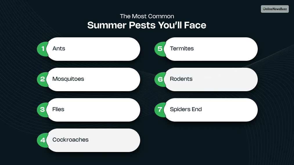 The Most Common Summer Pests You’ll Face