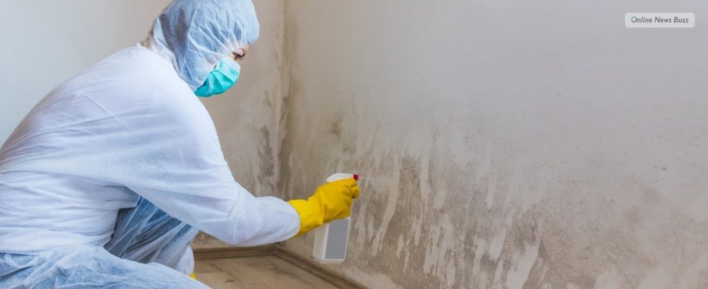 Cleaning up Existing Mold