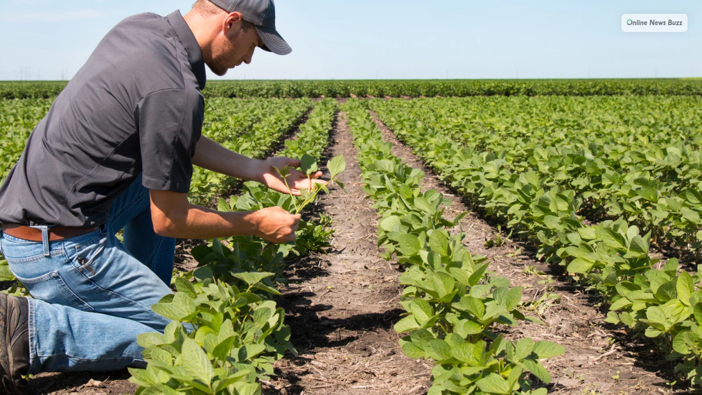 agriculture business