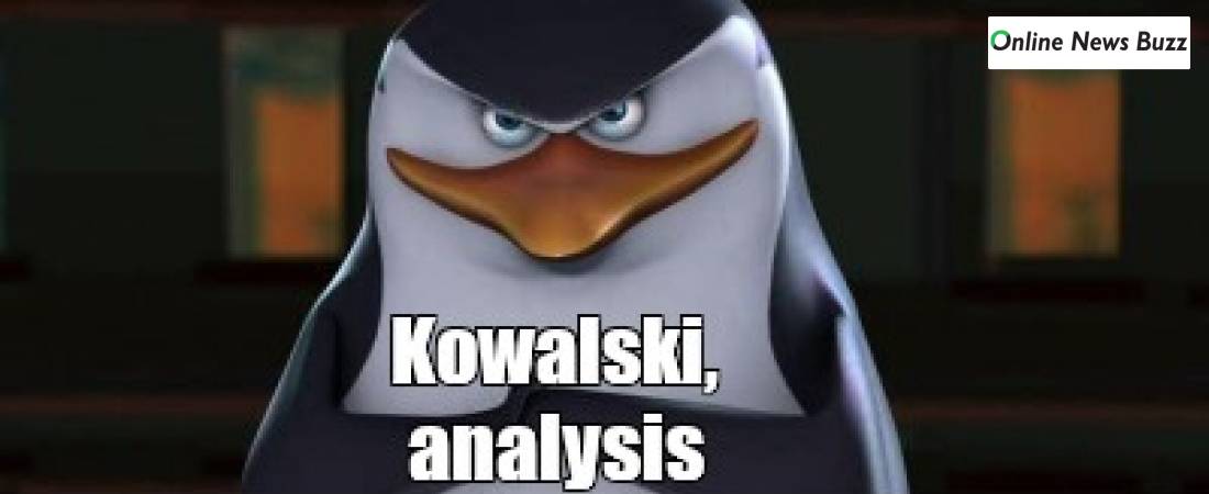Some Kowalski Analysis Memes Templates