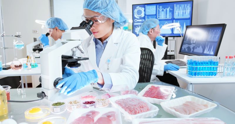 How Can Food Inspection Systems Grow Your Business?