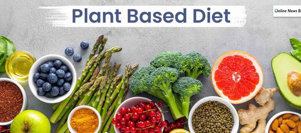 plant based diets and inflammation