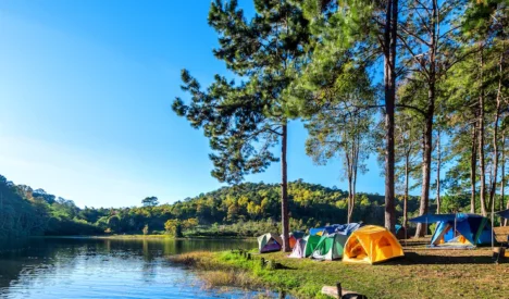 Camping Destinations