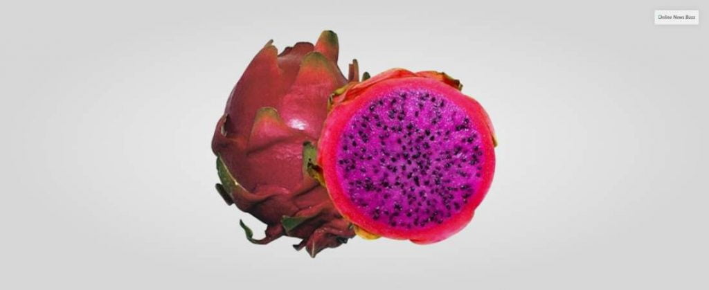Purple- Flesh Dragon Fruit