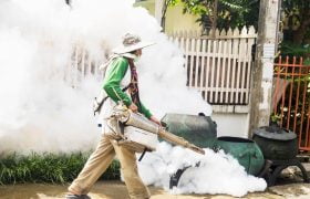rid your backyard of mosquitoes