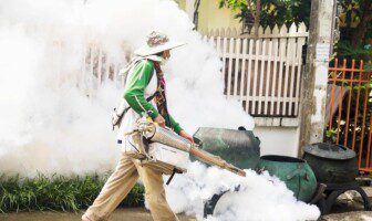 rid your backyard of mosquitoes