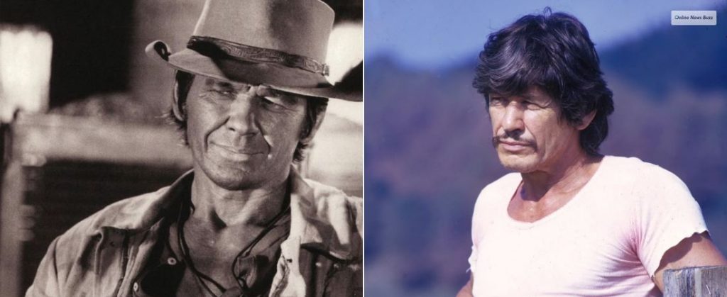 Charles Bronson And His Acting Career
