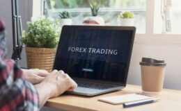 Basics Of Forex Trading