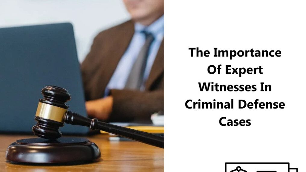Importance Of Expert Witnesses In Criminal Defense Cases