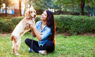 Socializing Your Dog: Building Canine Friendships Safely