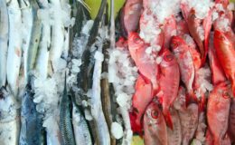 Wholesale Seafood Suppliers