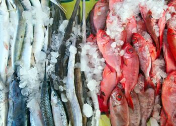 Wholesale Seafood Suppliers