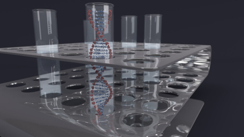 Whole Plasmid Sequencing