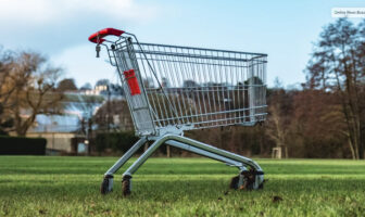 Shopping Cart Theory