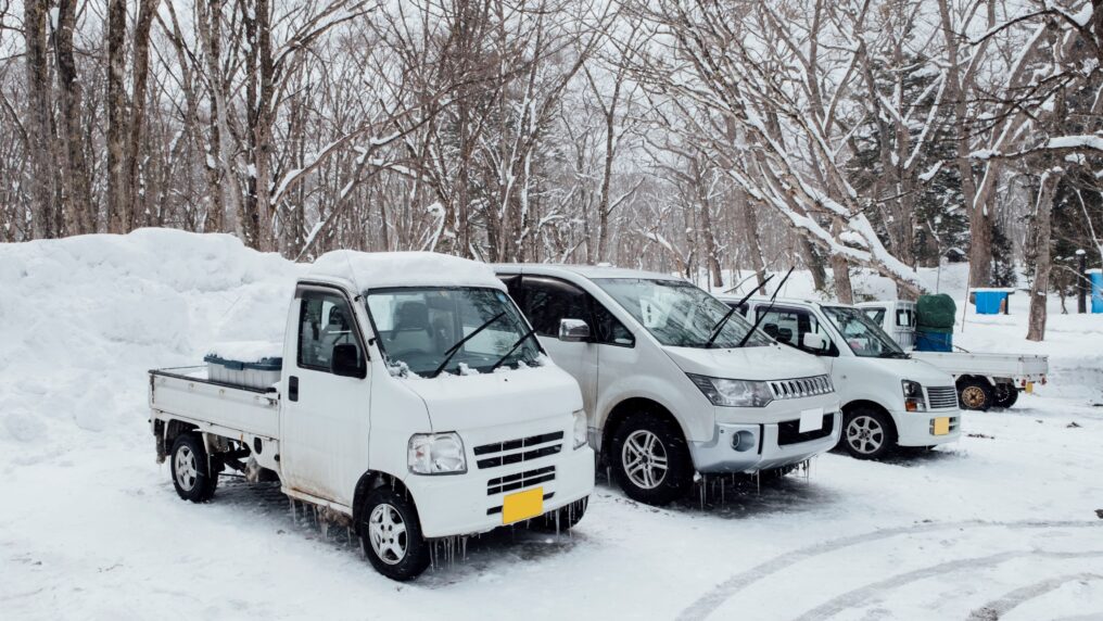 Winter Car Storage