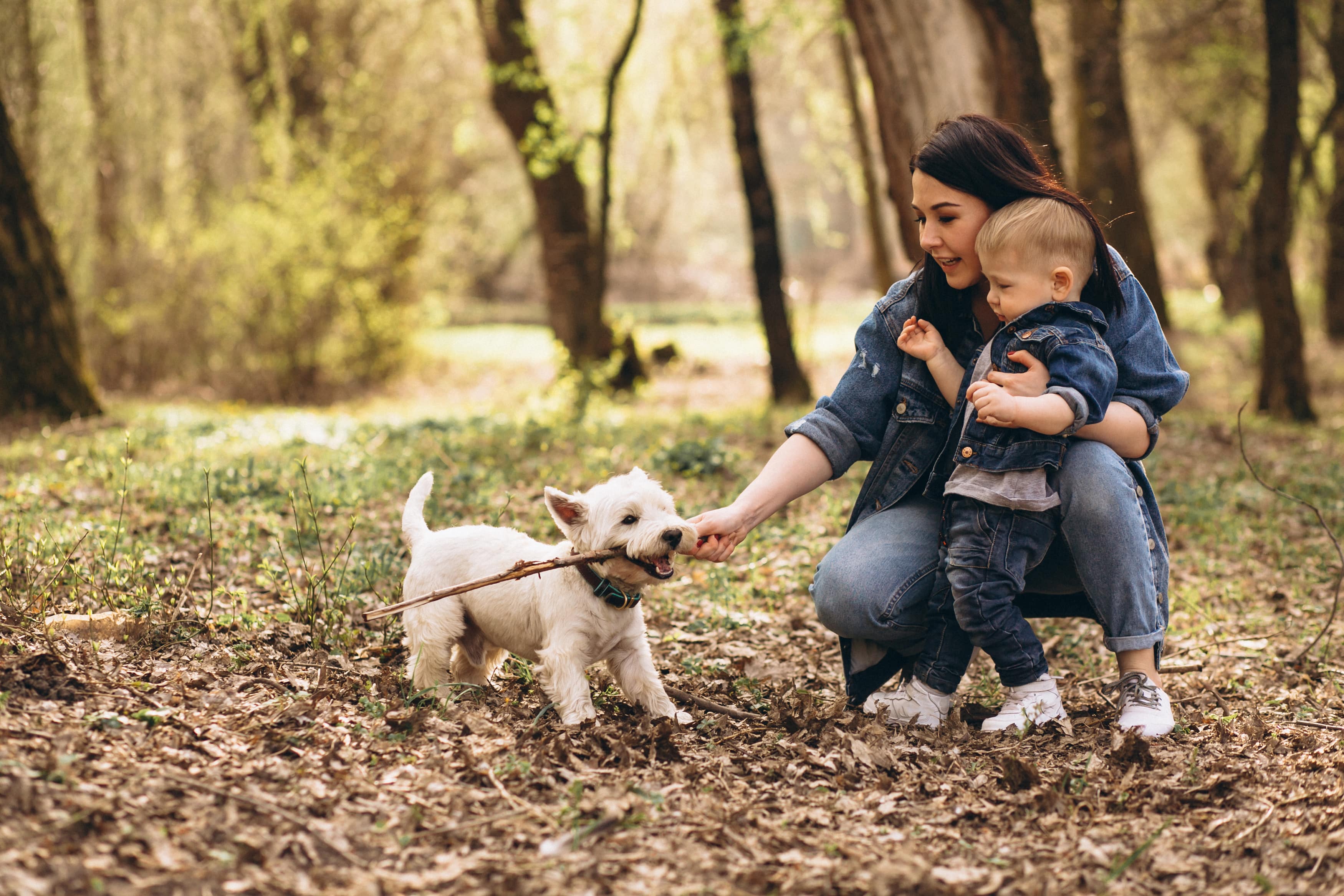 10 Reasons to Have Good Pets for Kids