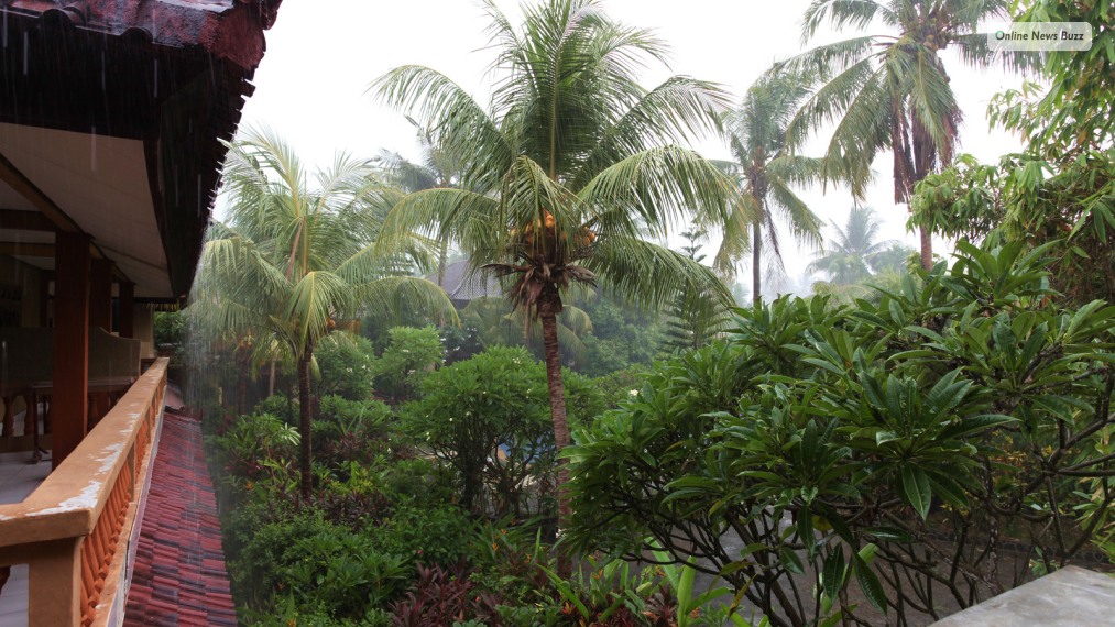 Should you visit Bali during the rainy season_