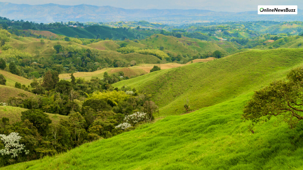 Quindio, Caldas, Risaralda The Coffee Region Of Colombia And A Birdwatching Hub