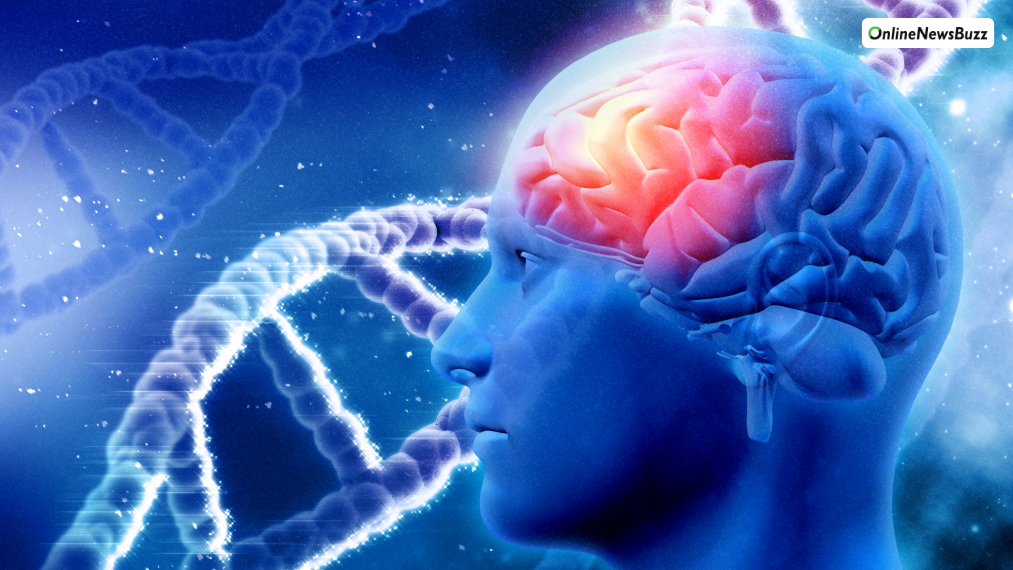 What Are Neurological Diseases