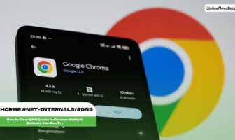 chorme //net-internals/#dns