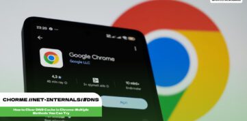 chorme //net-internals/#dns