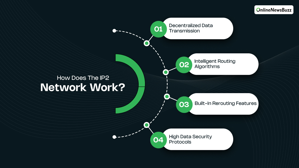 How Does The IP2 Network Work_
