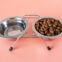 Stainless Steel Pet Fountains